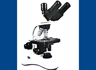 遼寧渤澳鋼鐵有限公司